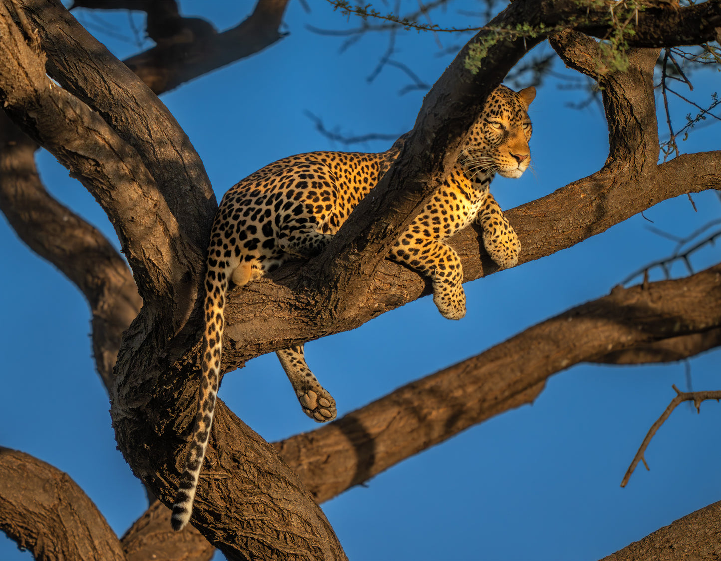 FREE 2025 Outdoor Photography Wall Calendar