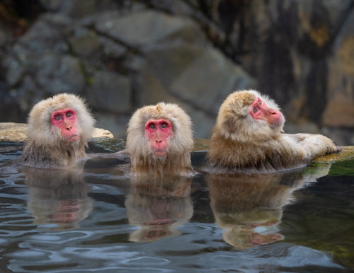 FREE 2026 Outdoor Photography Wall Calendar