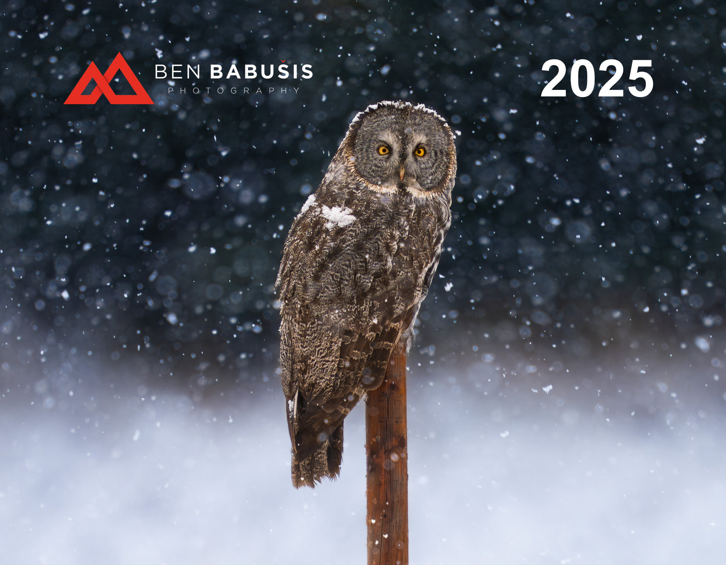 FREE 2025 Outdoor Photography Wall Calendar