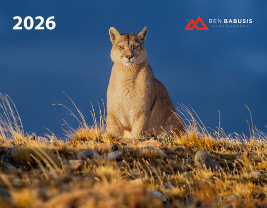 FREE 2026 Outdoor Photography Wall Calendar